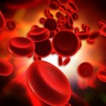 ASCT造血干细胞投资项目